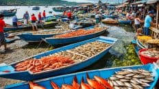 Seafood Capital Of The Philippines