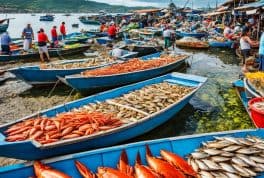Seafood Capital Of The Philippines