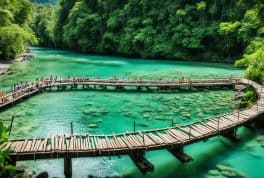 Tibiao Fish Spa, Panay Philippines