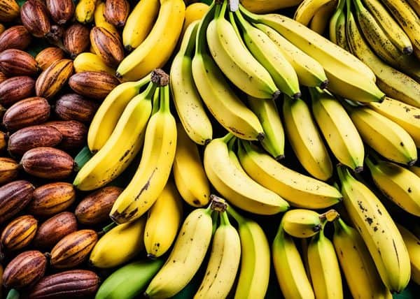 Types Of Banana In The Philippines