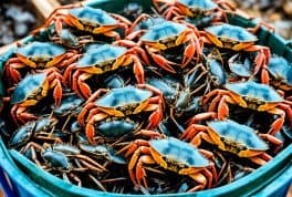 Crab Mentality In The Philippines