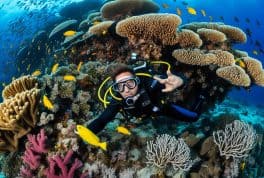 Open Water Diver in Dumaguete and Dauin with PADI 5 Star IDC Resort