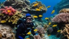 PADI DSD in Dumaguete and Dauin with PADI 5 Star IDC Resort