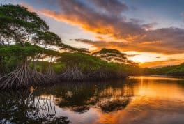 The Mangrove Reserve, Marinduque