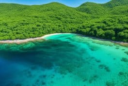 Alibijaban Island, Mindoro Philippines