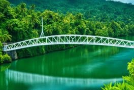 Javier Bridge, Leyte