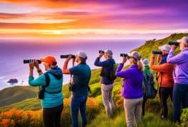 Marinduque Island Bird Watching Area, Marinduque