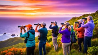 Marinduque Island Bird Watching Area, Marinduque