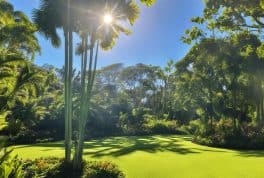 Marinduque Provincial Arboretum, Marinduque