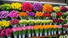 Price Of Bouquet Of Flowers In The Philippines