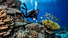 PADI Advanced Open Water Diver in Moalboal with PADI 5 Star CDC