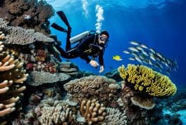PADI Advanced Open Water Diver in Moalboal with PADI 5 Star CDC