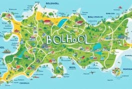 how many municipalities in bohol