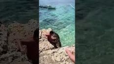 Cliff Jumping in the Philippines Video