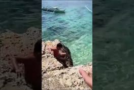 Cliff Jumping in the Philippines Video