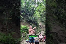 Exploring the Jungle Local Adventures in the Philippines Video