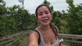 Bucket List UNLOCKED Harvesting Grapes in a Dreamy Farm Surrounded by Natures Peace. Video