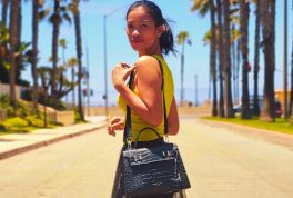 Filipina Experiences SeaWorld Knights Disneyland All in One Epic Trip Video