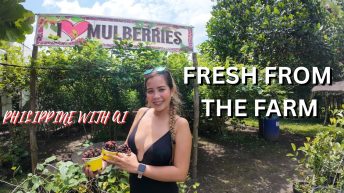 Unforgettable Mulberry Adventure EXPLORE SOUTH COTABATO MENDANAO. Video