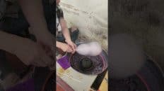 Traditional Cotton Candy Making Street Food Magic shorts Video