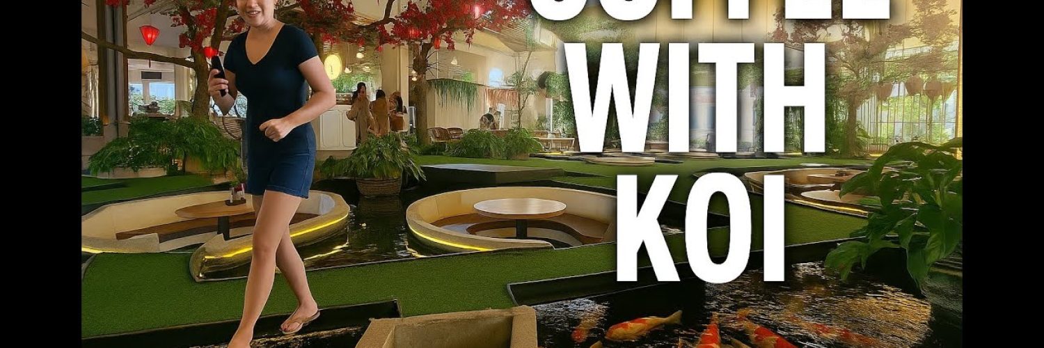 Coffee with Koi A Unique Cafe Experience in Ho Chi Minh City Video