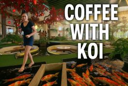Coffee with Koi A Unique Cafe Experience in Ho Chi Minh City Video