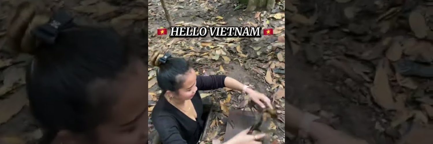 Hello Vietnam highlights vietnam highvibes Video