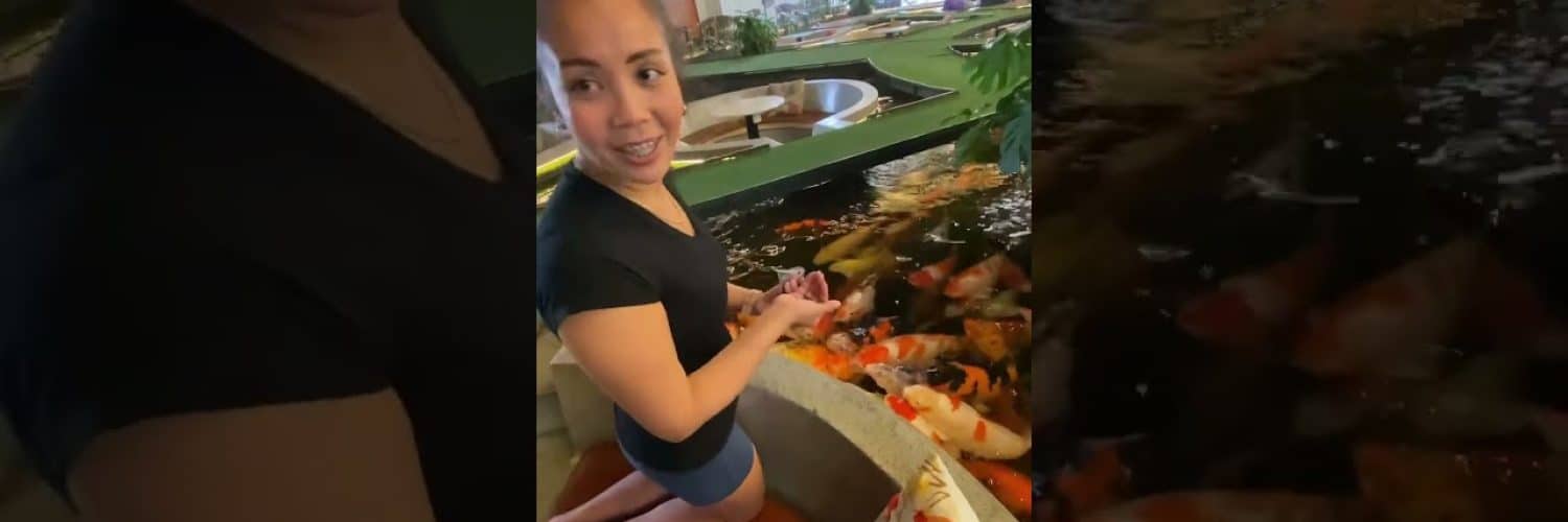 Koi feeding having so much fun highlights koifish Video
