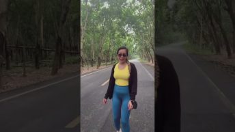 Thailand road trip. highlights travel Video